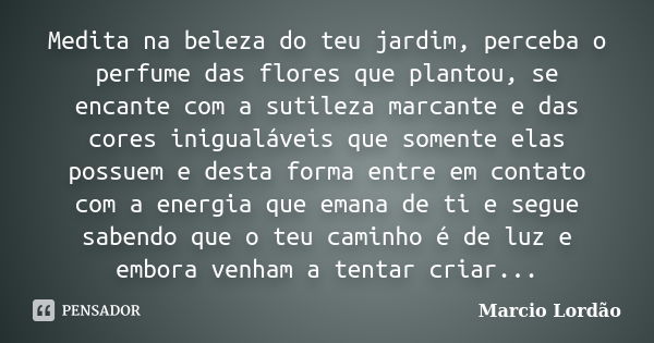 Medita na beleza do teu jardim, perceba o perfume das flores que plantou, se encante com a sutileza marcante e das cores inigualáveis que somente elas possuem e... Frase de Marcio Lordão.