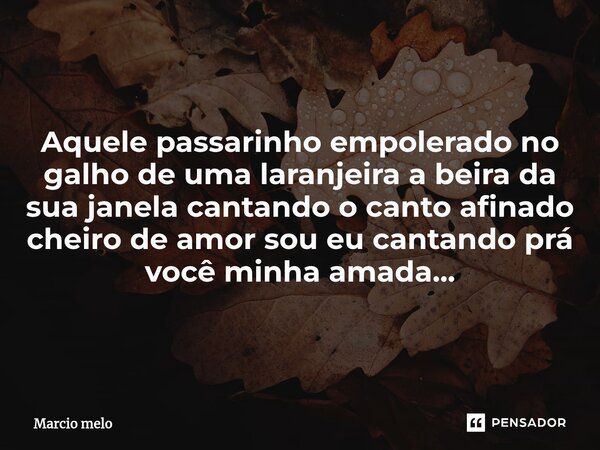 ⁠Aquele passarinho empolerado no galho de uma laranjeira a beira da sua janela cantando o canto afinado cheiro de amor sou eu cantando prá você minha amada...... Frase de marcio melo.