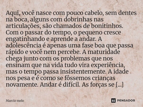 Aqui, você nasce com pouco cabelo, sem dentes na boca, alguns com dobrinhas nas articulações, são chamados de bonitinhos. Com o passar do tempo, o pequeno cres... Frase de marcio melo.