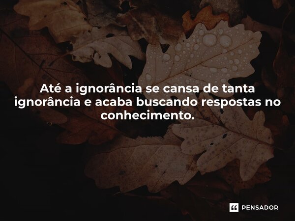⁠Até a ignorância se cansa de tanta ignorância e acaba buscando respostas no conhecimento.... Frase de Marcío melo.