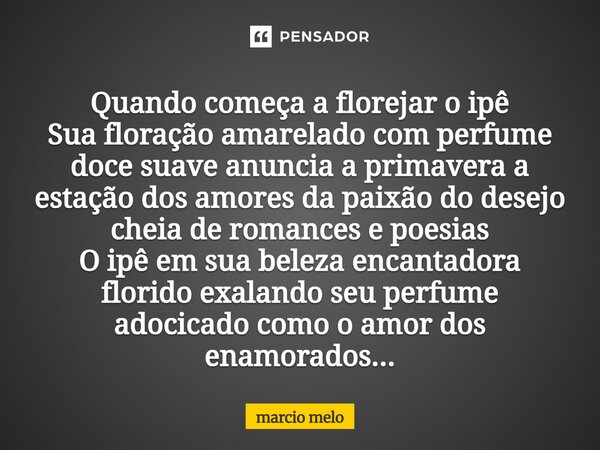 Quando começa a florejar o ipê Sua floração amarelado com perfume doce suave anuncia a primavera a estação dos amores da paixão do desejo cheia de romances e p... Frase de marcio melo.