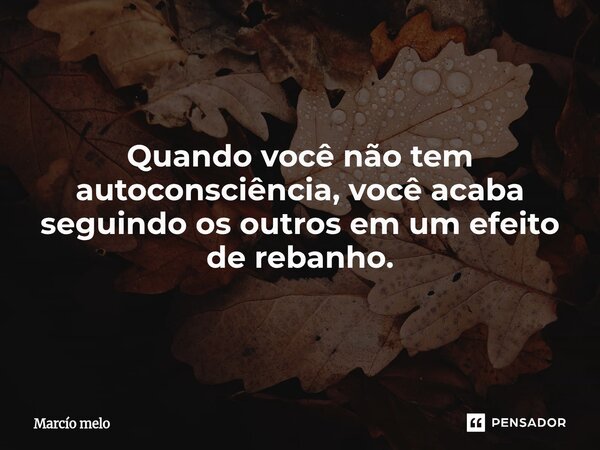 ⁠Quando você não tem autoconsciência, você acaba seguindo os outros em um efeito de rebanho.... Frase de marcio melo.