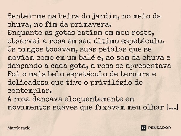 Sentei-me na beira do jardim, no meio da chuva, no fim da primavera. Enquanto as gotas batiam em meu rosto, observei a rosa em seu último espetáculo. Os pingos... Frase de marcio melo.