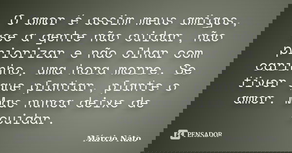 O amor é assim meus amigos, se a gente não cuidar, não priorizar e não olhar com carinho, uma hora morre. Se tiver que plantar, plante o amor. Mas nunca deixe d... Frase de Márcio Nato.
