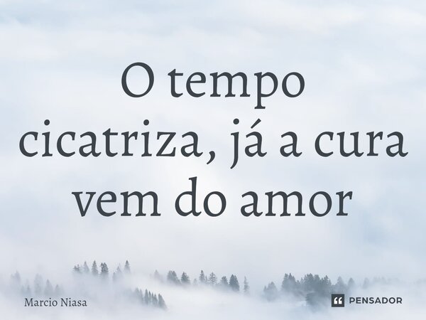 ⁠O tempo cicatriza, já a cura vem do amor... Frase de Márcio Niasa.