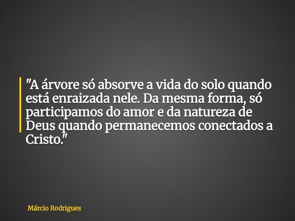 "A árvore só absorve a vida do solo quando está enraizada nele. Da mesma forma, só participamos do amor e da natureza de Deus quando permanecemos conectado... Frase de Márcio Rodrigues.