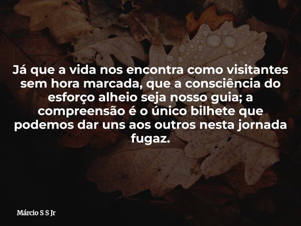 Já que a vida nos encontra como visitantes sem hora marcada, que a consciência do esforço alheio seja nosso guia; a compreensão é o único bilhete que podemos da... Frase de Márcio S S Jr.