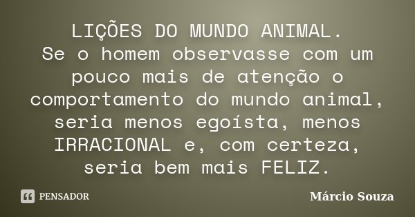 LIÇÕES DO MUNDO ANIMAL. Se o homem observasse com um pouco mais de atenção o comportamento do mundo animal, seria menos egoísta, menos IRRACIONAL e, com certeza... Frase de Márcio Souza.