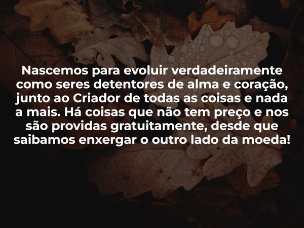 Nascemos para evoluir verdadeiramente como seres detentores de alma e coração, junto ao Criador de todas as coisas e nada a mais. Há coisas que não tem preço e ... Frase de Marcio Ueda.
