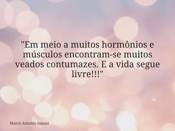 "Em meio a muitos hormônios e músculos encontram-se muitos veados contumazes. E a vida segue livre!!!"... Frase de Marco Antonio Ianoni.