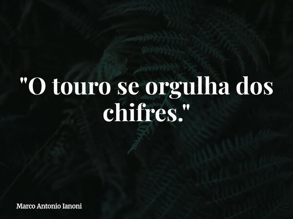 "O touro se orgulha dos chifres."... Frase de Marco Antonio Ianoni.