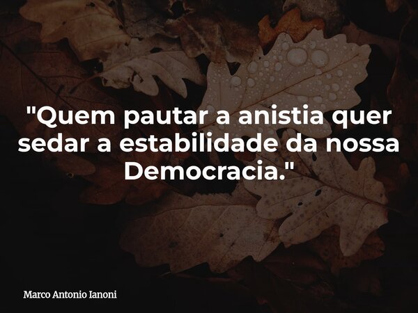 "Quem pautar a anistia quer sedar a estabilidade da nossa Democracia."... Frase de Marco Antonio Ianoni.