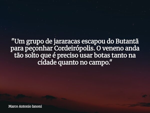 "Um grupo de jararacas escapou do Butantã para peçonhar Cordeirópolis. O veneno anda tão solto que é preciso usar botas tanto na cidade quanto no campo.&qu... Frase de Marco Antonio Ianoni.