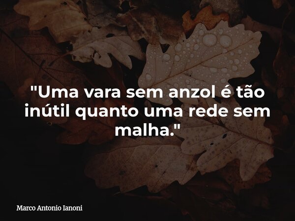 "Uma vara sem anzol é tão inútil quanto uma rede sem malha."... Frase de Marco Antonio Ianoni.