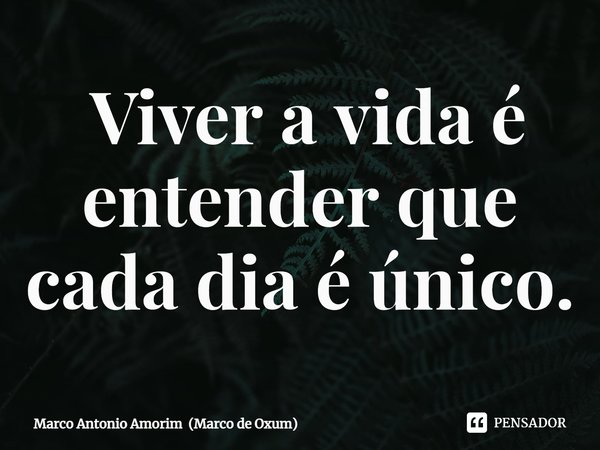 ⁠ Viver a vida é entender que cada dia é único.... Frase de Marco Antonio Amorim (Marco de Oxum).