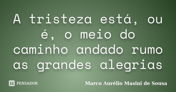 A tristeza está, ou é, o meio do caminho andado rumo as grandes alegrias... Frase de Marco Aurélio Masini de Sousa.