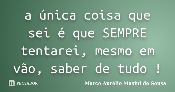 a única coisa que sei é que SEMPRE tentarei, mesmo em vão, saber de tudo !... Frase de Marco Aurélio Masini de Sousa.
