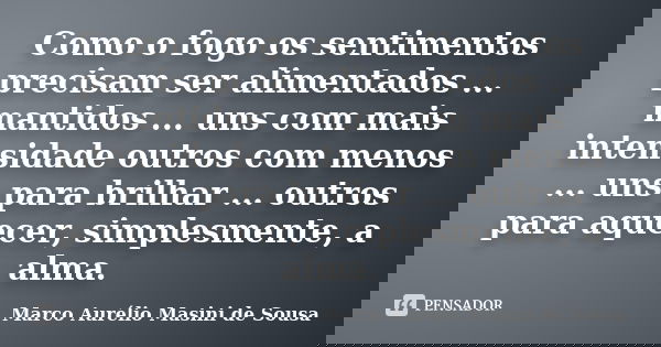 Como o fogo os sentimentos precisam ser alimentados ... mantidos ... uns com mais intensidade outros com menos ... uns para brilhar ... outros para aquecer, sim... Frase de Marco Aurélio Masini de Sousa.