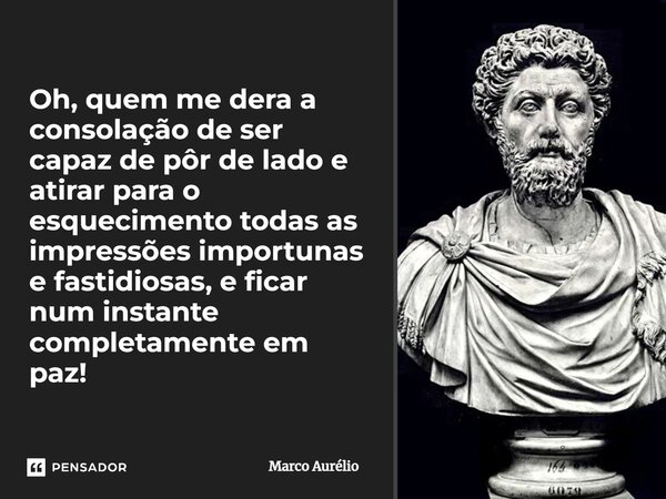 ⁠Oh, quem me dera a consolação de ser capaz de pôr de lado e atirar para o esquecimento todas as impressões importunas e fastidiosas, e ficar num instante compl... Frase de Marco Aurélio.