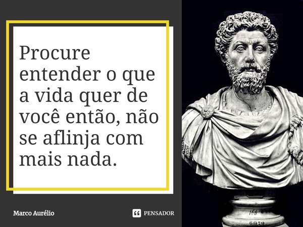 ⁠Procure entender o que a vida quer de você então, não se aflija com mais nada.... Frase de Marco Aurélio.