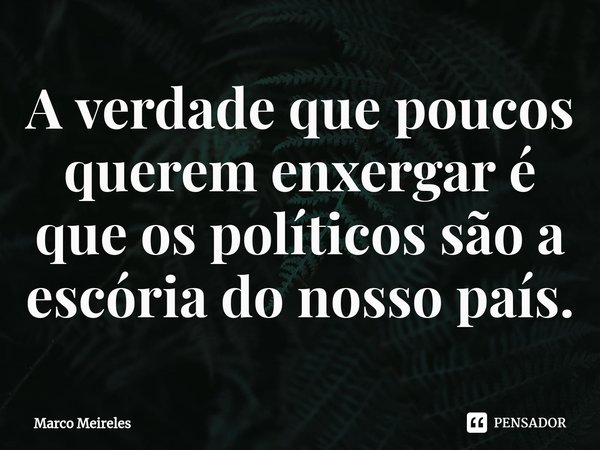 ⁠A verdade que poucos querem enxergar é que os políticos são a escória do nosso país.... Frase de Marco Meireles.