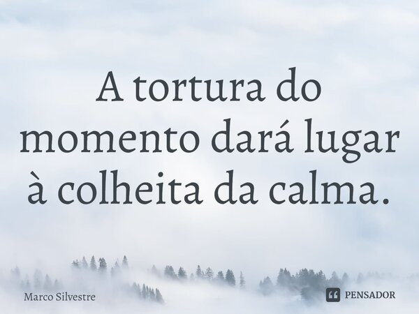 ⁠A tortura do momento dará lugar à colheita da calma.... Frase de Marco Silvestre.