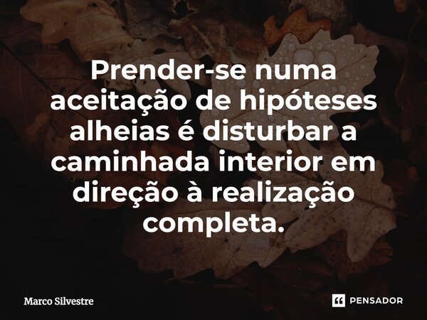 ⁠Prender-se numa aceitação de hipóteses alheias é disturbar a caminhada interior em direção à realização completa.... Frase de Marco Silvestre.