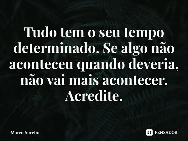 ⁠Tudo tem o seu tempo determinado. Se algo não aconteceu quando deveria, não vai mais acontecer. Acredite.... Frase de marco.