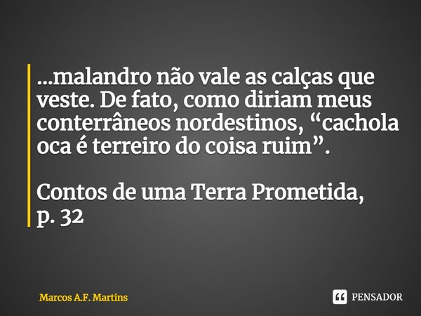 ⁠...malandro não vale as calças que veste. De fato, como diriam meus conterrâneos nordestinos, “cachola oca é terreiro do coisa ruim”. Contos de uma Terra Prome... Frase de Marcos A.F. Martins.