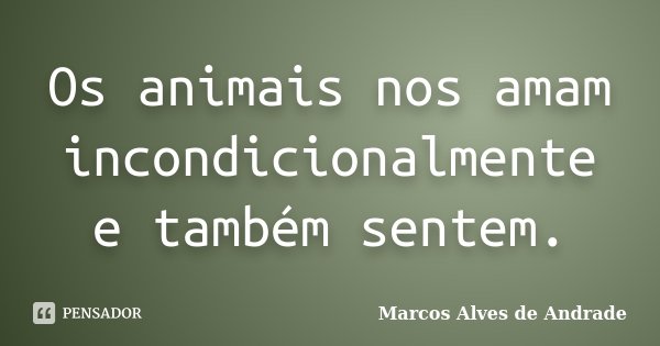 Os animais nos amam incondicionalmente e também sentem.... Frase de Marcos Alves de Andrade.