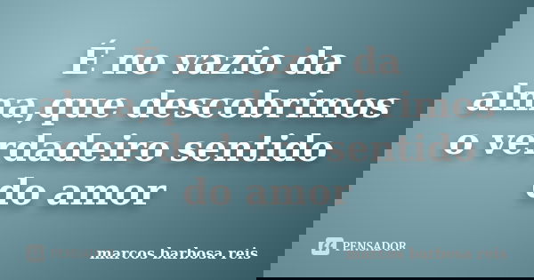 É no vazio da alma,que descobrimos o verdadeiro sentido do amor... Frase de Marcos barbosa reis.