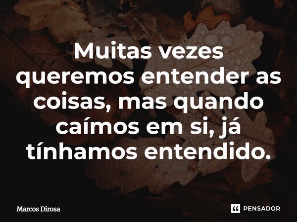 Muitas vezes queremos entender as coisas, mais quando caímos em si, já tinhamos entendido.... Frase de Marcos Dirosa.