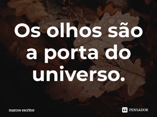 ⁠Os olhos são a porta do universo.... Frase de marcos escritor.