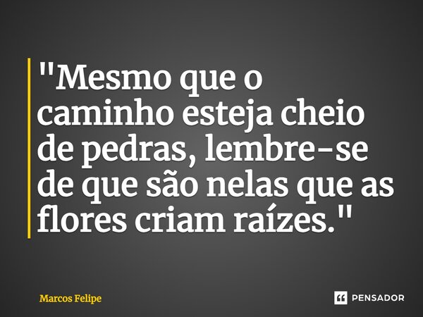 ⁠"Mesmo que o caminho esteja cheio de pedras, lembre-se de que são nelas que as flores criam raízes."... Frase de Marcos Felipe.