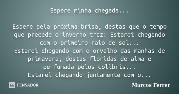 Espere minha chegada... Espere pela próxima brisa, destas que o tempo que precede o inverno traz: Estarei chegando com o primeiro raio de sol... Estarei chegand... Frase de Marcos Ferrer.