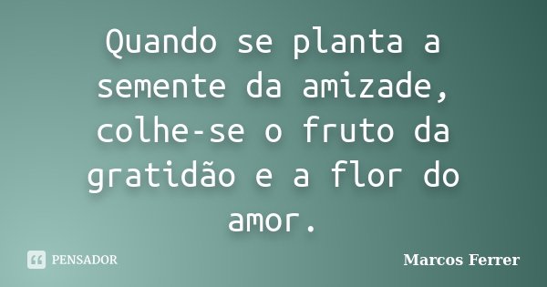 Quando se planta a semente da amizade, colhe-se o fruto da gratidão e a flor do amor.... Frase de Marcos Ferrer.