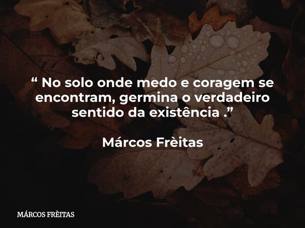 “ No solo onde medo e coragem se encontram, germina o verdadeiro sentido da existência .” Márcos Frèitas... Frase de MÁRCOS FRÈITAS.
