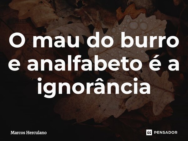 O mau do burro e analfabeto é a ignorância... Frase de Marcos Herculano.