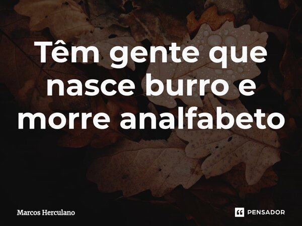 Têm gente que nasce burro e morre analfabeto ⁠... Frase de Marcos Herculano.