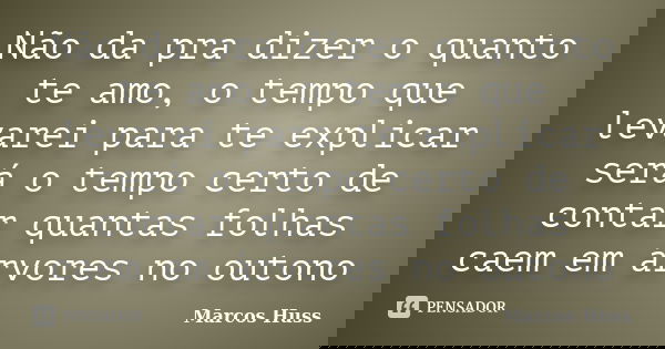 Não da pra dizer o quanto te amo, o tempo que levarei para te explicar será o tempo certo de contar quantas folhas caem em árvores no outono... Frase de Marcos Huss.
