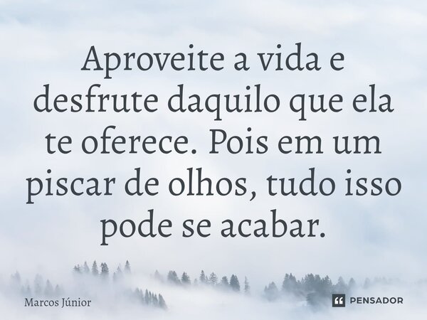 ⁠Aproveite a vida e desfrute daquilo que ela te oferece. Pois em um piscar de olhos, tudo isso pode se acabar.... Frase de Marcos Junior.