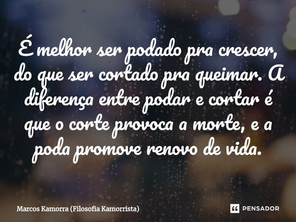 É melhor ser podado pra crescer, do que ser⁠ cortado pra queimar. A diferença entre podar e cortar é que o corte provoca a morte, e a poda promove renovo de vid... Frase de Marcos Kamorra (Filosofia Kamorrista).