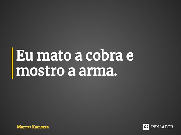 Eu mato a cobra e mostro a arma.⁠... Frase de Marcos Kamorra.