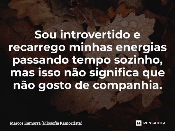 ⁠Sou introvertido e recarrego minhas energias passando tempo sozinho, mas isso não significa que não gosto de companhia.... Frase de Marcos Kamorra (Filosofia Kamorrista).