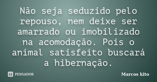 Não seja seduzido pelo repouso, nem deixe ser amarrado ou imobilizado na acomodação. Pois o animal satisfeito buscará a hibernação.... Frase de Marcos Kito.