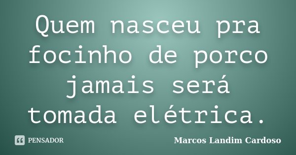 Quem nasceu pra focinho de porco jamais será tomada elétrica.... Frase de Marcos Landim Cardoso.