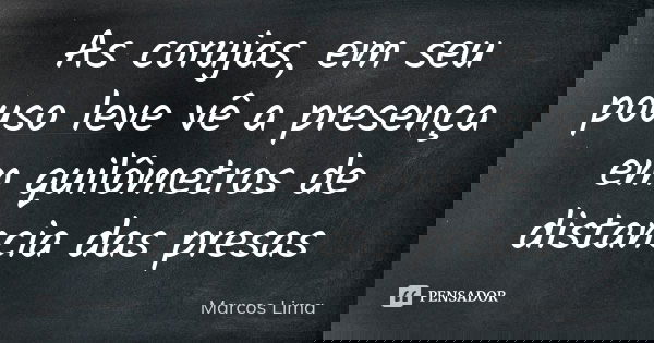 As corujas, em seu pouso leve vê a presença em quilômetros de distancia das presas... Frase de Marcos Lima.