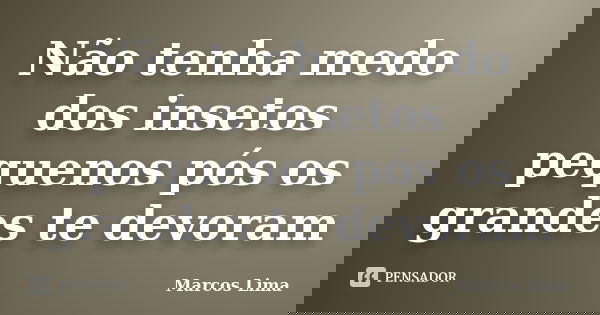 Não tenha medo dos insetos pequenos pós os grandes te devoram... Frase de Marcos Lima.