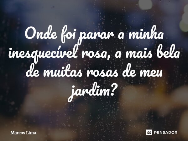 Onde foi parar a minha inesquecível rosa, a mais bela de muitas rosas de meu jardim⁠?... Frase de Marcos Lima.