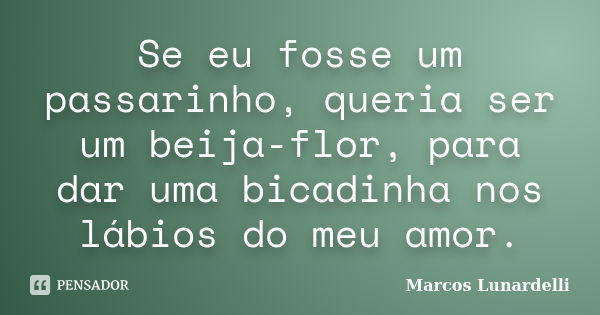 Se eu fosse um passarinho, queria ser um beija-flor, para dar uma bicadinha nos lábios do meu amor.... Frase de Marcos Lunardelli.